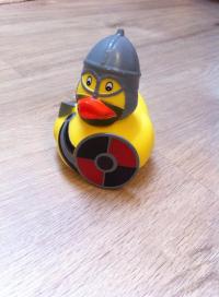 12522977_994045330660941_2287216711277609927_n