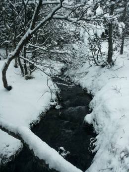 12572987_998601070205367_6500605092527659180_n