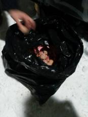 12647537_1001598979905576_4334573960689480778_n