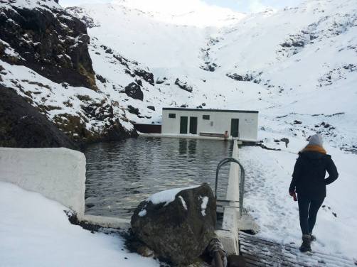 12734097_1014495718615902_1949807169401428436_n