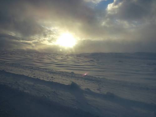 12734139_1014496161949191_5248691559874346913_n