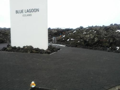 12791056_1018657624866378_5733944321840175577_n