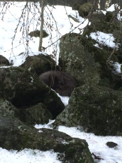 Foto 29-02-16 14 57 17 (1)