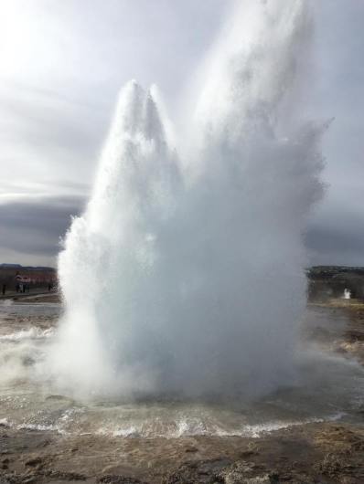 12924616_10205851097375936_2190041114563246398_n