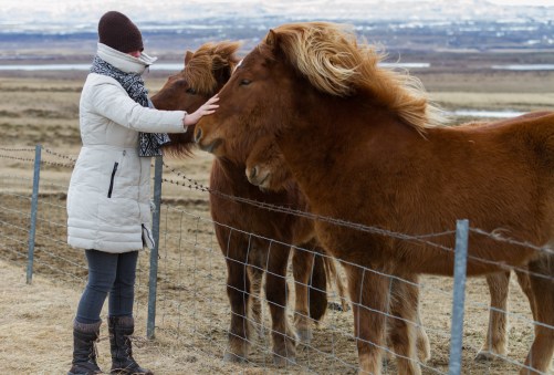 2016-03-24 Reykjavik-5730