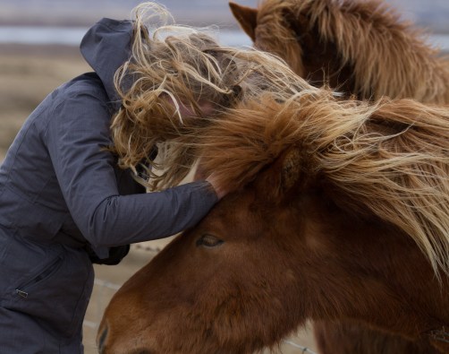 2016-03-24 Reykjavik-5732